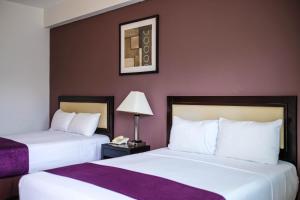 two beds in a hotel room with purple walls at Hotel Las Vegas in Poza Rica de Hidalgo