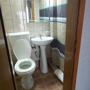 bagno con servizi igienici e lavandino di Podgorski An a Kolešino