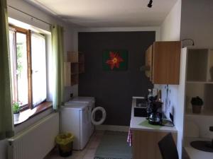 Kuchyň nebo kuchyňský kout v ubytování Haus Wutzl