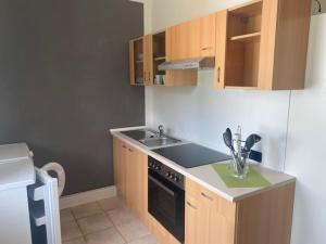 Kuchyň nebo kuchyňský kout v ubytování Haus Wutzl
