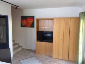 TV a/nebo společenská místnost v ubytování Haus Wutzl