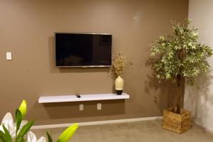 a living room with a tv and two potted plants at The Rise BNB - Executive Ensuite in Auckland