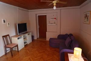 ein Wohnzimmer mit einem Sofa und einem TV in der Unterkunft House Minka in Ptuj