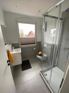 a bathroom with a shower and a toilet and a window at FEDDERSEN LIVING Moderne Ferienwohnungen - Gemütlich - Netflix - Voll ausgestattet - Waschmaschine - zentral gelegen in Brunsbüttel