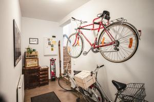 Jazda na bicykli v okolí ubytovania The Gallery