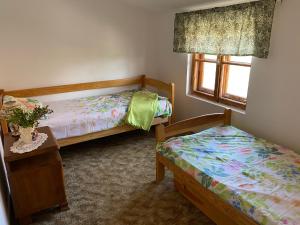 a bedroom with two beds and a window at Chatka mojego dziadka in Długie