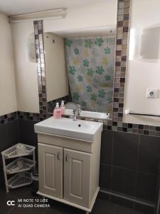 um banheiro com uma pia e um espelho em Apartman Đorđević em Soko Banja