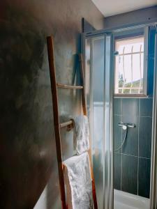 um toalheiro na casa de banho com chuveiro em auberge de tesa em Occhiatana
