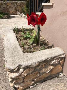a stone wall with two red flowers in it at Katerina Studios in Laganas