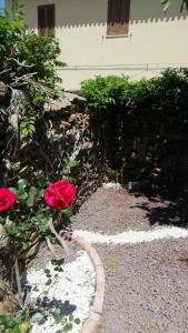 a garden with red roses next to a building at Appartamento Ercole in Budoni