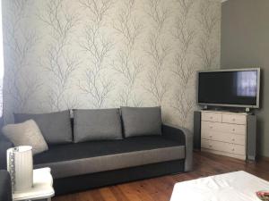 a living room with a couch and a tv at Pokoje Wrzeszcz in Gdańsk