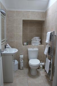 a bathroom with a toilet and a sink at New Park Hotel Athenry in Athenry