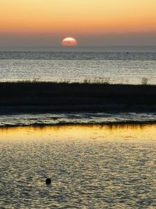 una puesta de sol en la playa con el sol saliendo sobre el océano en gl. Havn BnB, en Bogense