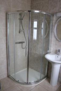 a glass shower in a bathroom with a sink at New Park Hotel Athenry in Athenry