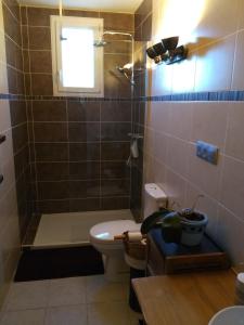a bathroom with a shower and a toilet and a sink at Les chambres de Beauviel in Saint-Jean-dʼEyraud