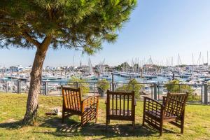 two chairs sitting under a tree next to a harbor at TERNELIA Le Vent Du Large in Saint-Gilles-Croix-de-Vie