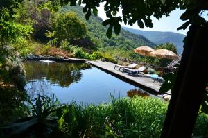 a pool with chairs and umbrellas next to a river at Le petit nid (le MàS du Plot) in Sablières