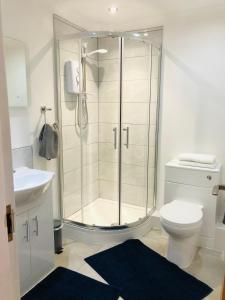 a bathroom with a shower and a toilet and a sink at Whiteley’s Cottages studio in Dumbarton