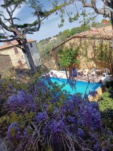 um jardim com flores roxas ao lado de uma piscina em Locanda Etrusca em Bibbona