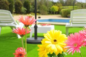 Gallery image of Villa Mallorca Paradise in Llucmajor