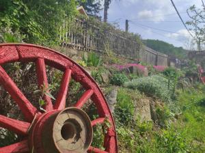 O grădină în afara Apartman Nebojša