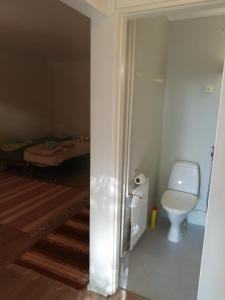 a bathroom with a toilet and a bed at majoitus in Alavieska
