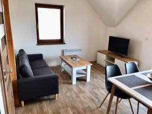 Televízia a/alebo spoločenská miestnosť v ubytovaní Horské apartmány Na Pastvinách