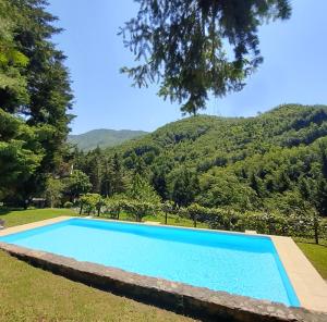 The swimming pool at or close to Il Bosco di Campo Marzano green & sky