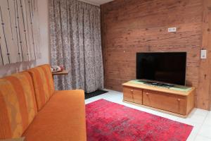 TV a/nebo společenská místnost v ubytování Ferienwohnung Simonhof