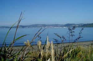 a view of a beach with a body of water at ASURE 83 By The Sea Motor Lodge in Lower Hutt