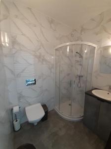 W łazience znajduje się prysznic, toaleta i umywalka. w obiekcie Apartamenty Róża Wiatrów w Solcu-Zdroju