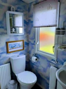 a bathroom with a toilet and a sink and a window at Kittiwake in Saint Cyrus