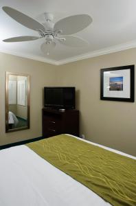 Postel nebo postele na pokoji v ubytování Hi View Inn & Suites