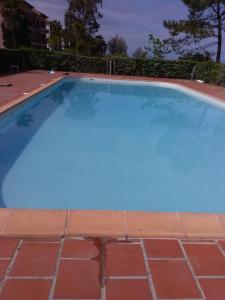 une grande piscine bleue avec un sol en briques rouges dans l'établissement Appt plage et soleil, à San-Nicolao