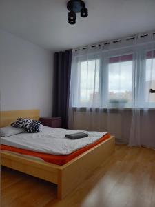 ワルシャワにあるApartament Bemowo Przestrzeńのベッドルーム1室(ベッド1台、大きな窓付)