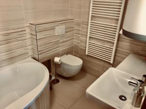 Kúpeľňa v ubytovaní Horské apartmány Na Pastvinách + 37 fotografií