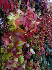 Giardino di Kotka Housing-FreeParking