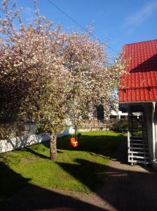 Giardino di Kotka Housing-FreeParking