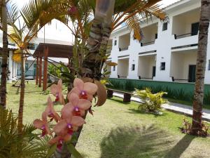 a plant with pink flowers in front of a building at Areia do Atlantico Hotel in Porto Seguro