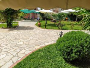 A garden outside Sundays Family House/Studio