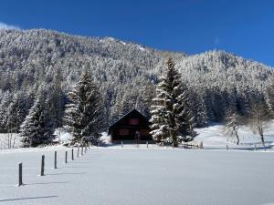 una cabaña en la nieve frente a una montaña en Sonnenhütte, en Sankt Martin am Tennengebirge
