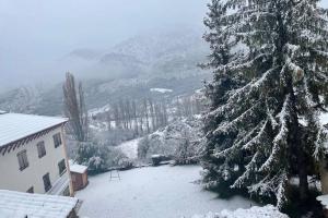 pino ricoperto di neve accanto a un edificio di Apartamento Rural Casa Bergua en Arguis ad Arguis Altre 2 foto