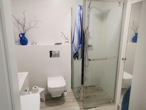 a bathroom with a glass shower with a toilet at Apatrament Krewetka in Rowy