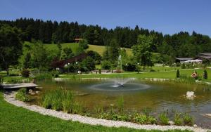 un estanque con una fuente en medio de un parque en FeWo Schneerose, Steibis, en Oberstaufen