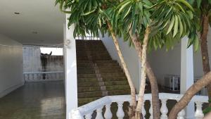 a staircase with two palm trees in a building at Departamento Zona Dorada Mazatlán 6 in Mazatlán