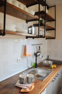 Kuchyň nebo kuchyňský kout v ubytování Apartment Tarski konaci