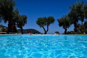 een zwembad van blauw water met bomen op de achtergrond bij Del Sol Skopelos in Skopelos Town