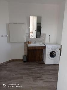 y baño con lavabo y lavadora. en gîte la bêcyclette de la baie de Somme, en Mons-Boubert