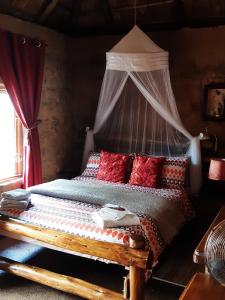 Легло или легла в стая в Five Pebbles on Piece of Africa