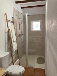 y baño con ducha y aseo. en Cal Pere de L'Onclet, en Montblanc